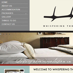 Hunting in South Africa Website by Citizen Design