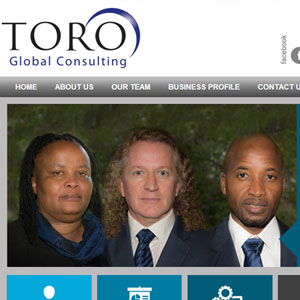 Toro Global Consulting Website by Citizen Design